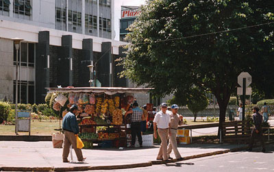 a fruit vendor in front of the Central bank building